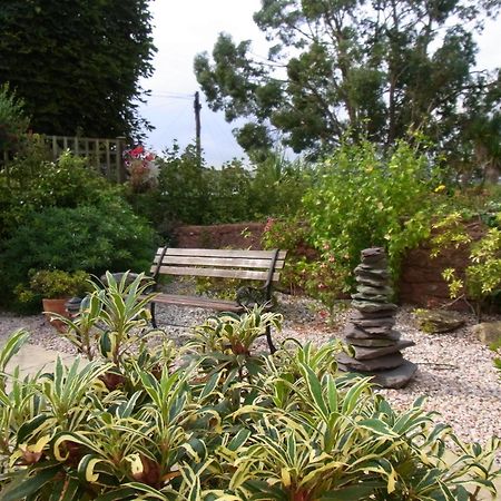 Beecroft Lodge Paignton Exteriör bild